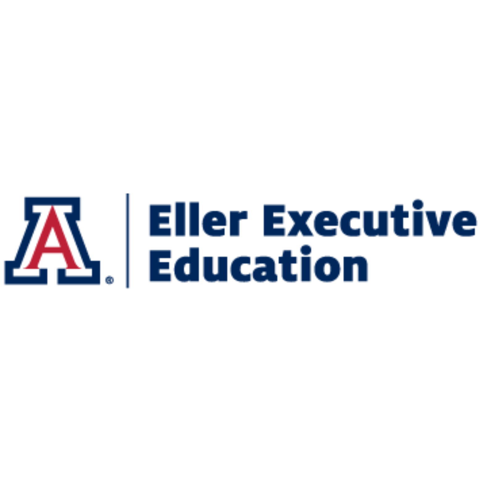 Eller Executive Ed